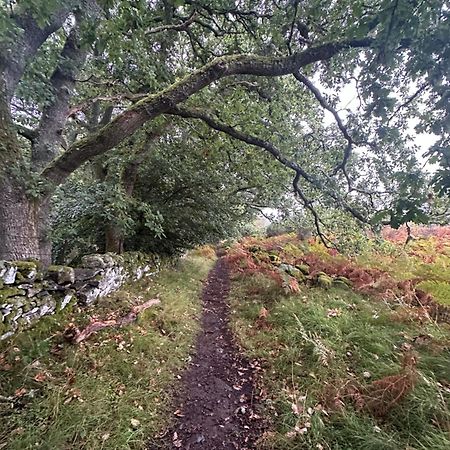 Red Squirrel Cottage Strathtay Kültér fotó